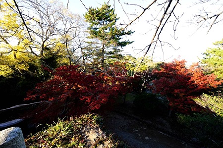 1011231541_DSC_4834