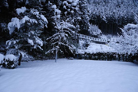 1101010753_DSC_5803