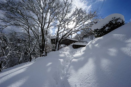 1101011211_DSC_6176
