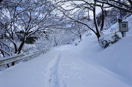 1101011400_DSC_6502