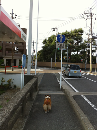 写真 68