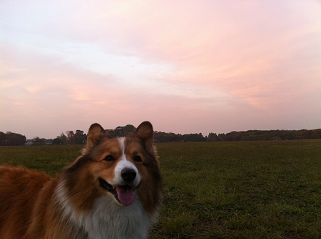 写真 33