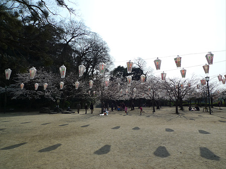 亀山公園(1)
