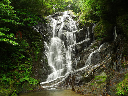 白糸の滝(7)