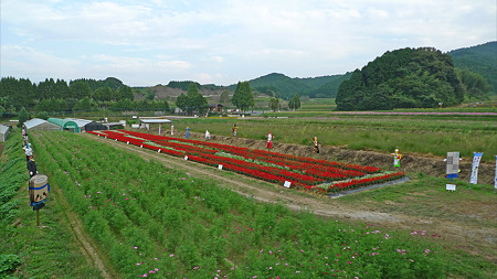 正助ふるさと村(1)