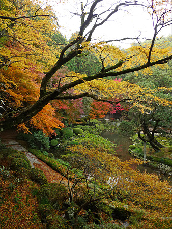 雷山千如寺大悲王院(14)-2