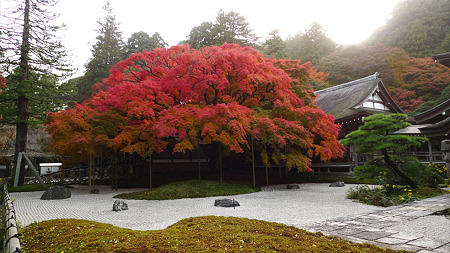 雷山千如寺大悲王院(25)