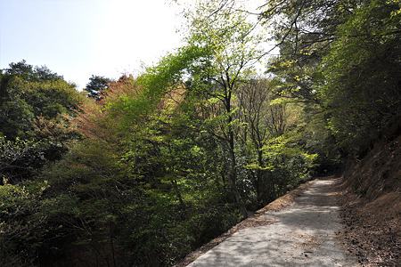 d9011050503