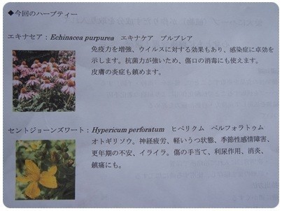 20120623 ハーブティー 効能1