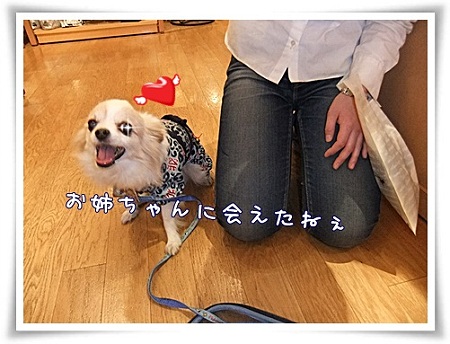 こんにちは~