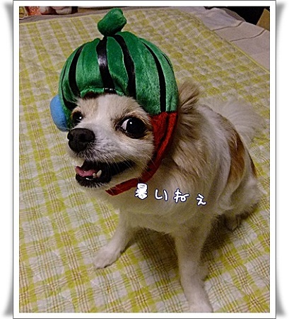 暑い