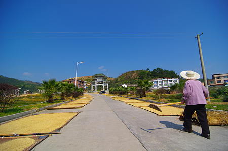 IMGP3196
