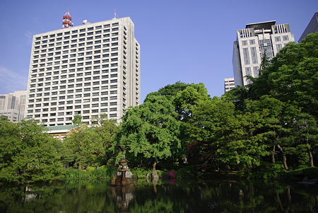 日比谷公園 (42)