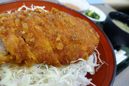 南部豚ソースかつ丼(中央道【上り】・駒ヶ岳SA)