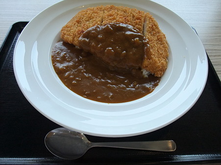 ジャンボチキンカツカレー(名阪国道上り・伊賀SA)