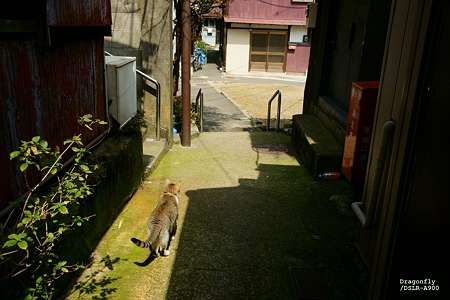 帰り道