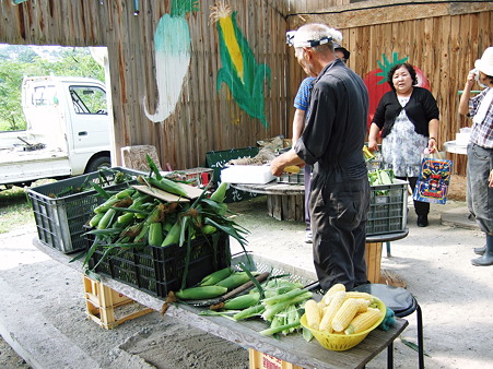 トウモロコシ直売所