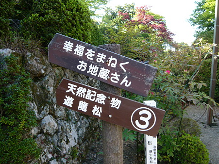 2011.5.8 093