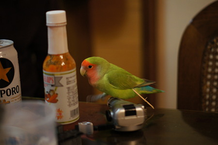 DSC00257