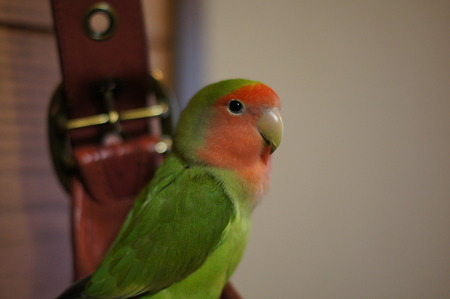 DSC00907