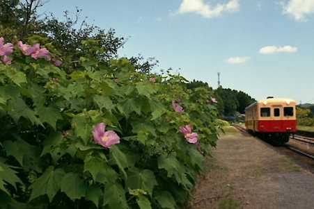 秋の小湊鉄道2010 03