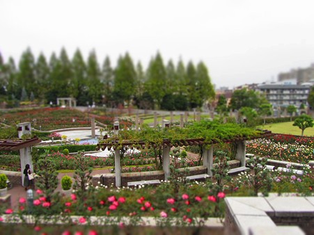 sIMG_1166