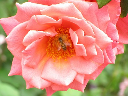 sIMG_1147