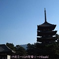 Photos: 興福寺　東金堂＆五重塔